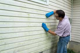 Best Wood Siding Installation  in , TN